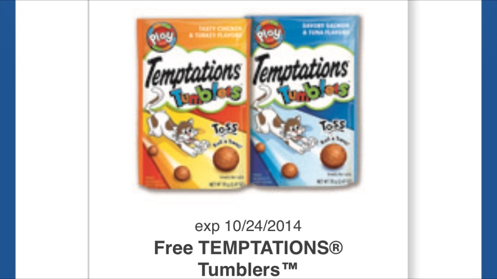  Temptations Tumblers